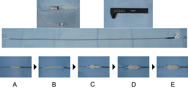 Fig. 2