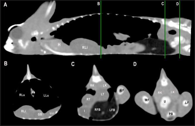 Fig. 6.