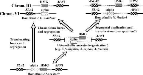 FIG. 3.