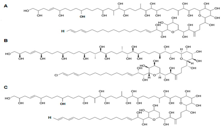 Figure 13