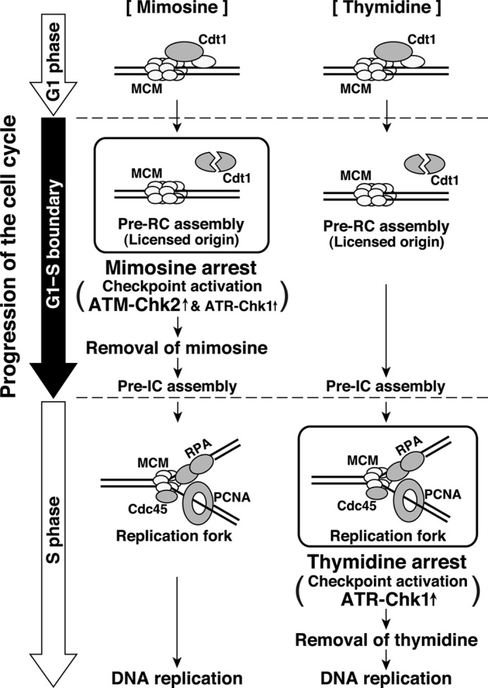 FIGURE 10.