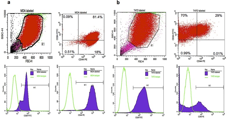 Fig 4