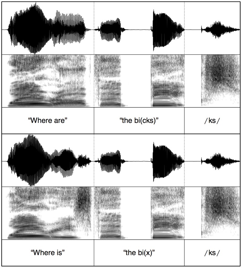 FIGURE 1