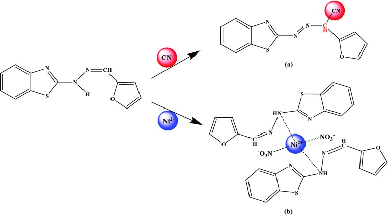 Scheme 2