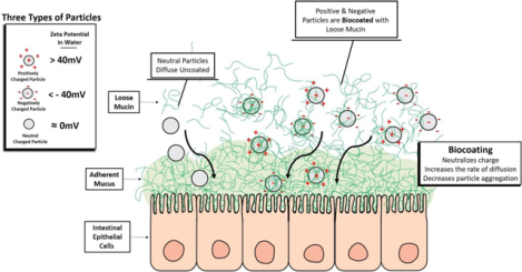 graphic file with name nihms-1811036-f0001.jpg