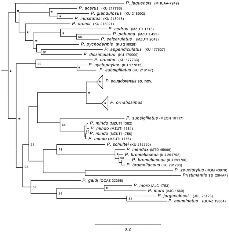 Fig 6