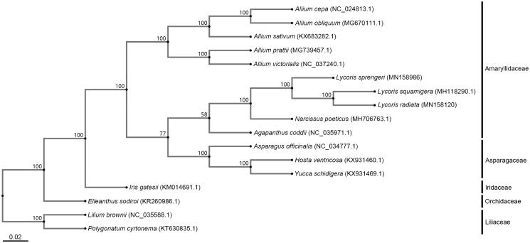 Figure 1.