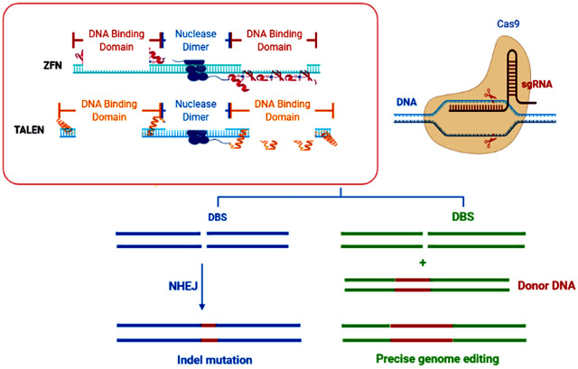 FIGURE 1