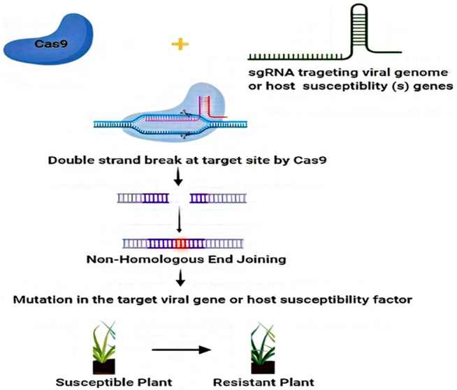 FIGURE 3