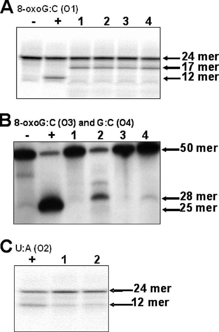 FIG. 6.