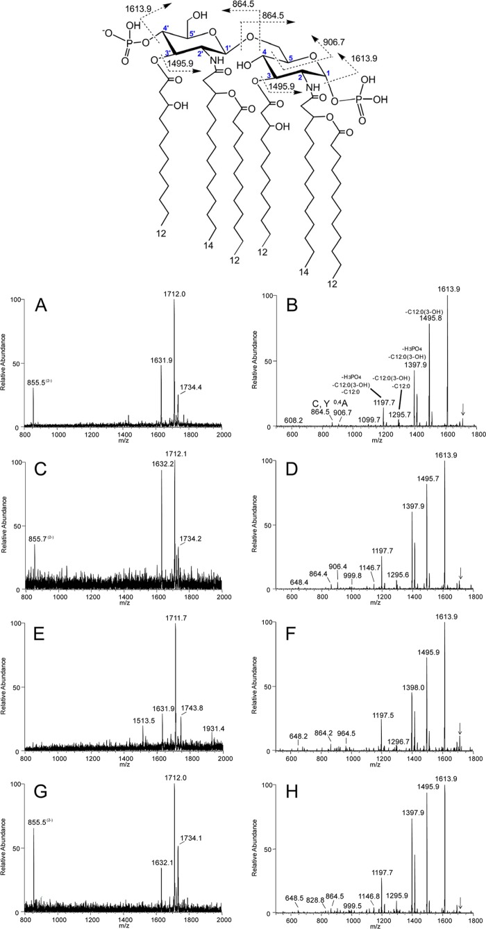 Fig 3