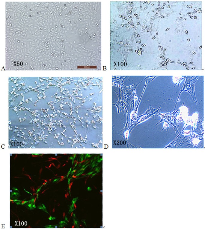 Fig 9