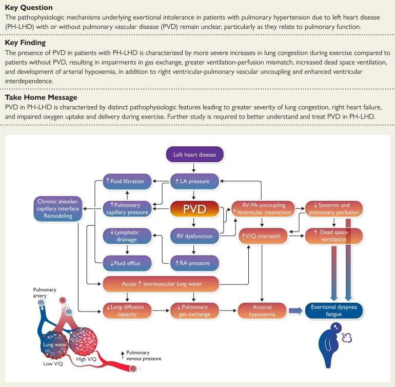 Structured Graphical Abstract