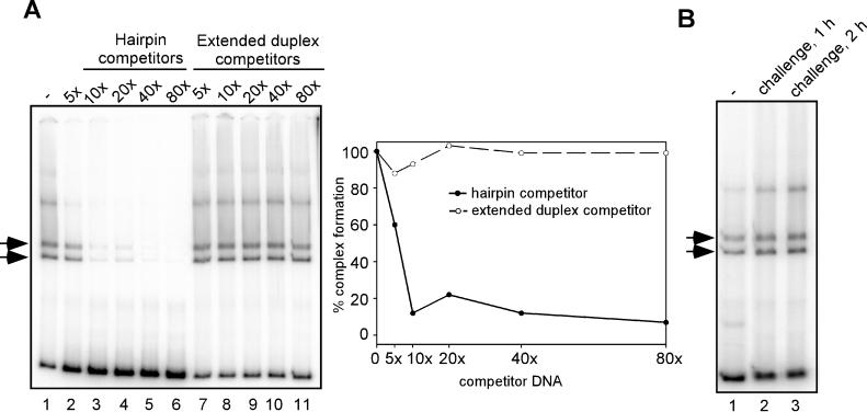 FIG. 9