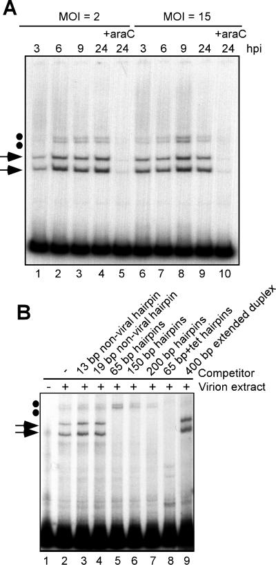 FIG. 5