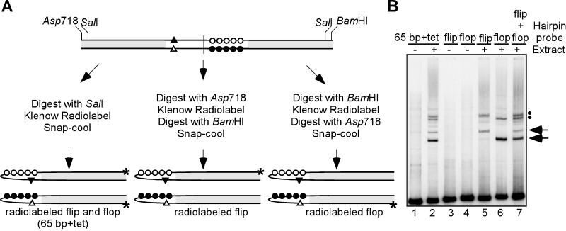 FIG. 4