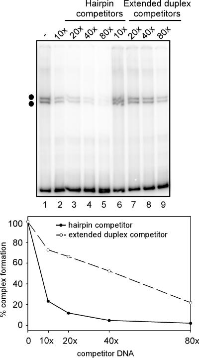 FIG. 7