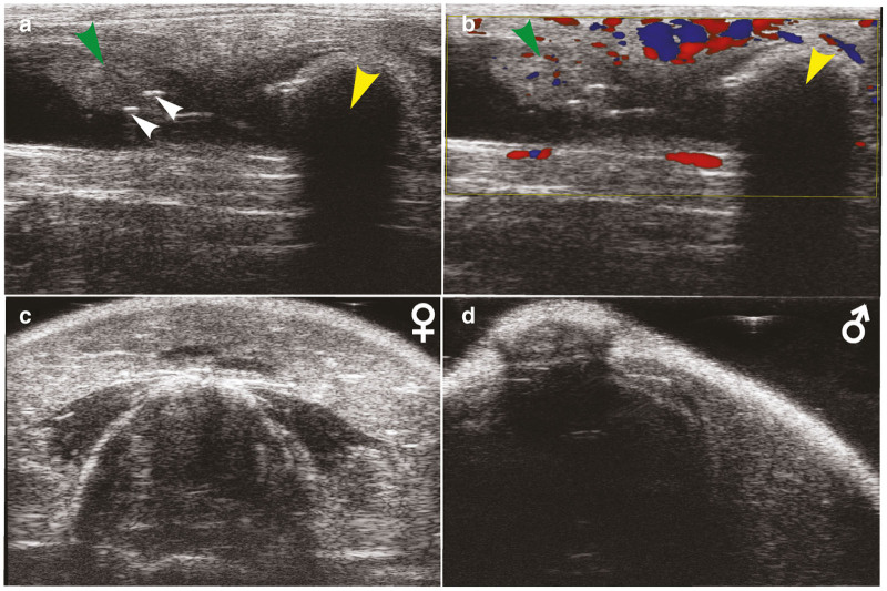 Figure 6