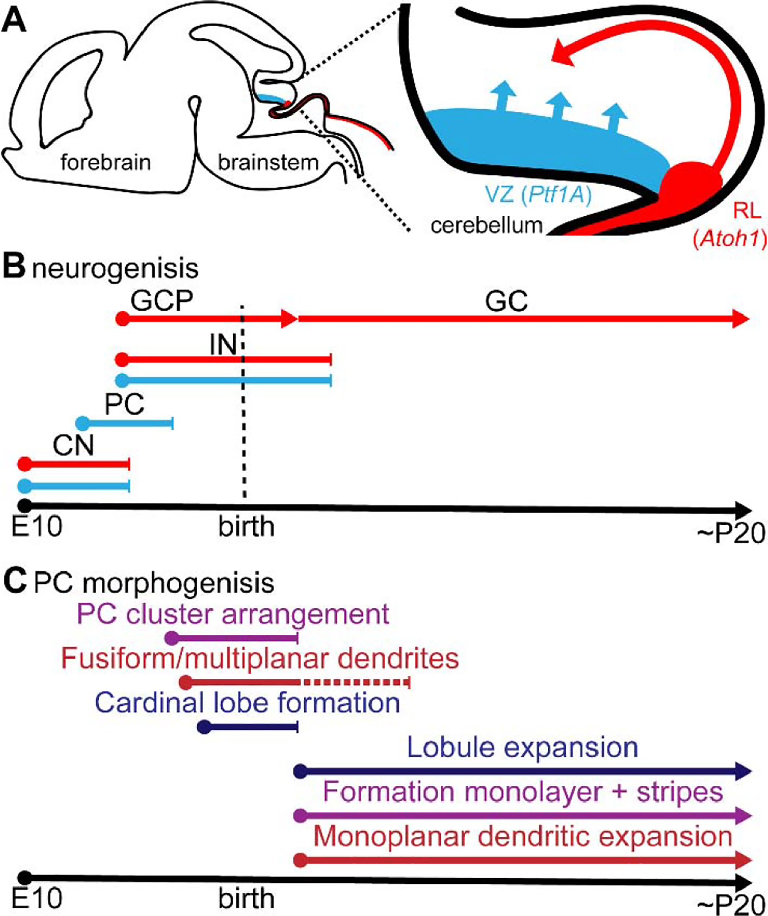 Figure 2.