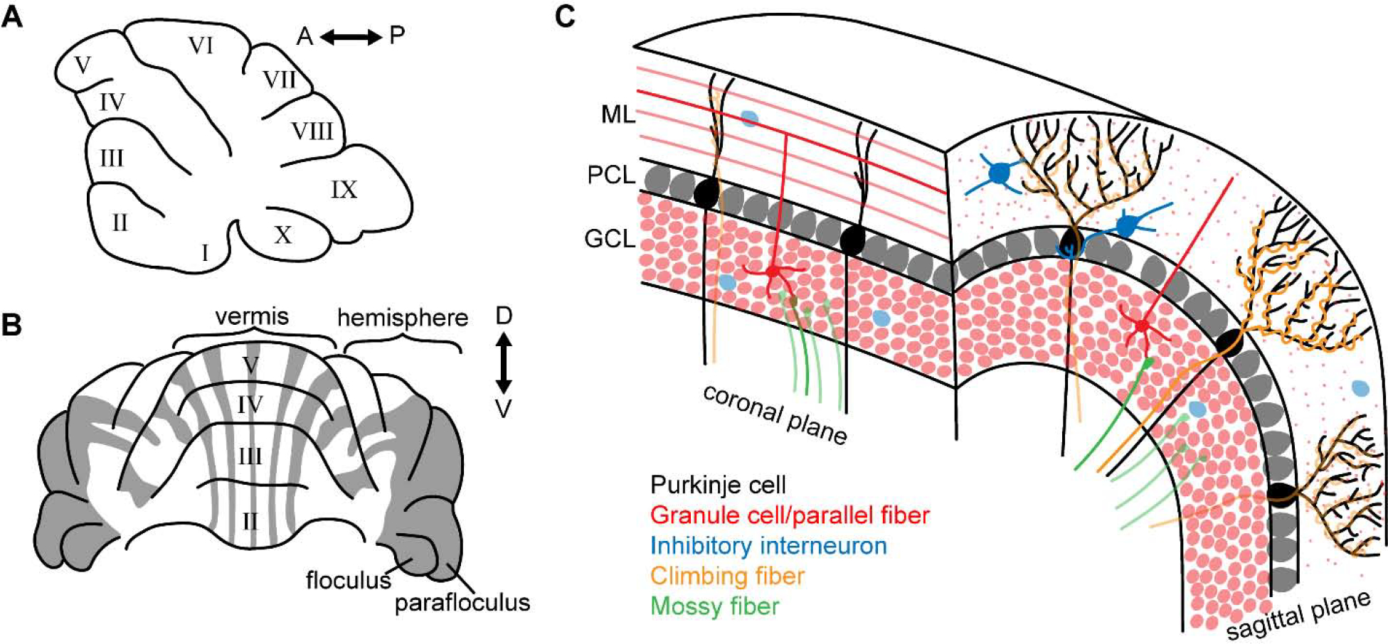 Figure 1: