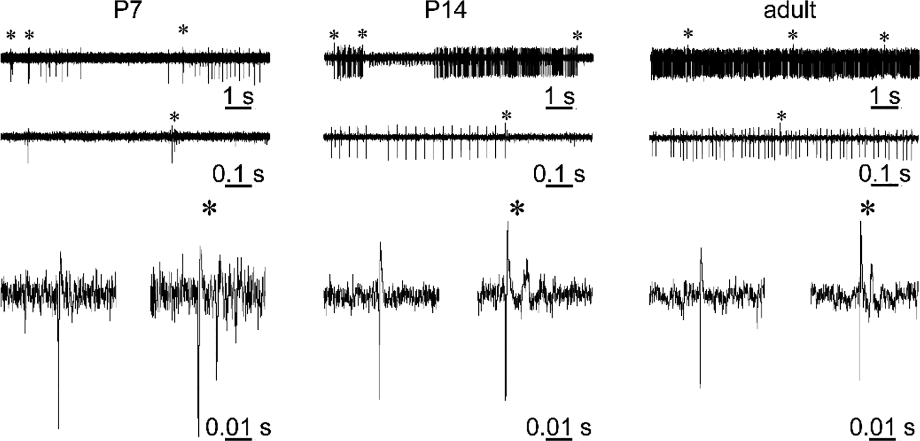 Figure 5.