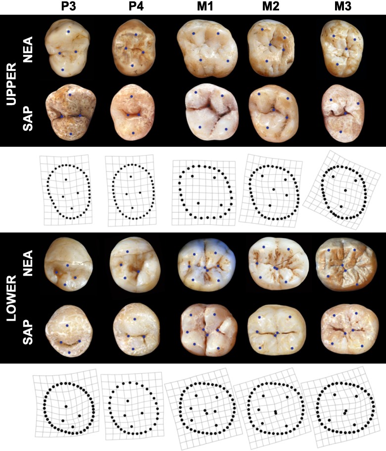 Fig. 2.