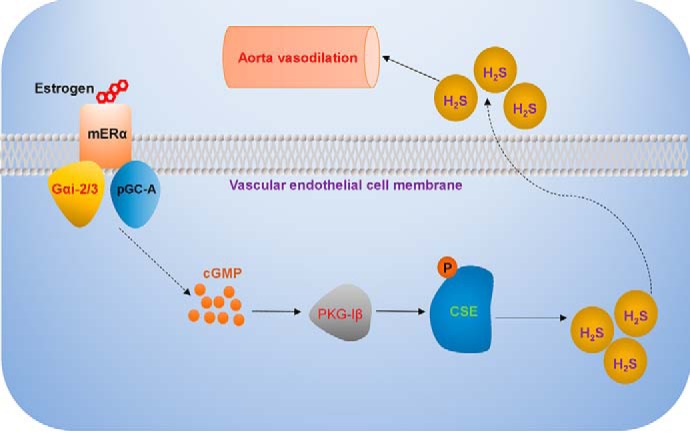 Figure 10.