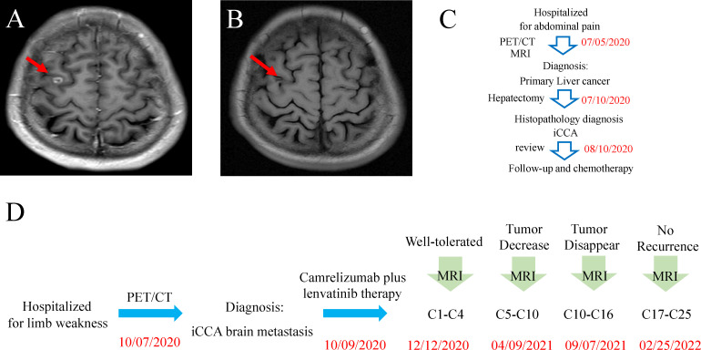 Figure 3