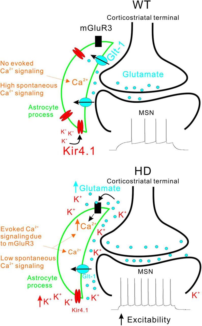 Figure 10.