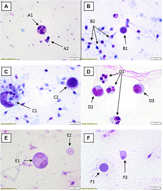 FIGURE 2