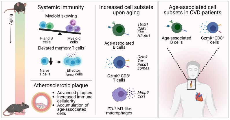 Graphical Abstract