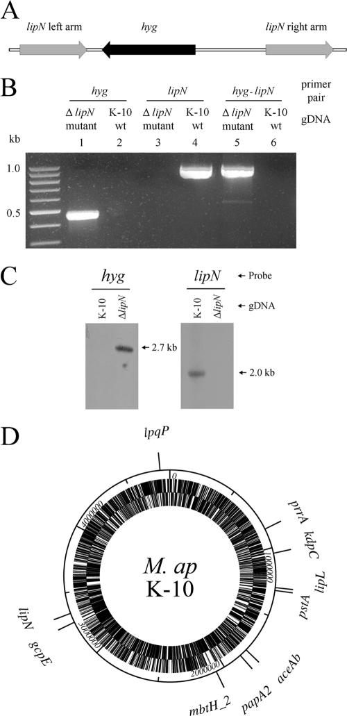 FIG. 3.