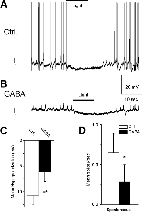 Fig. 10.