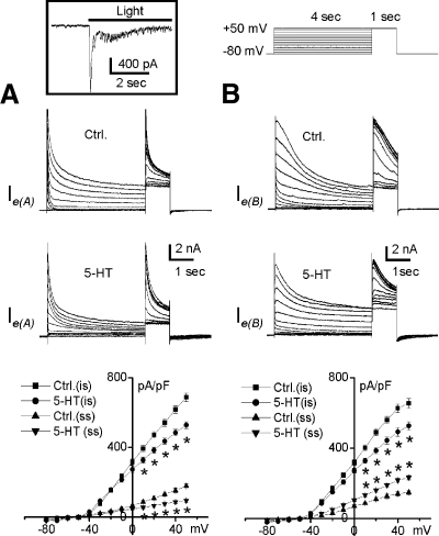 Fig. 5.