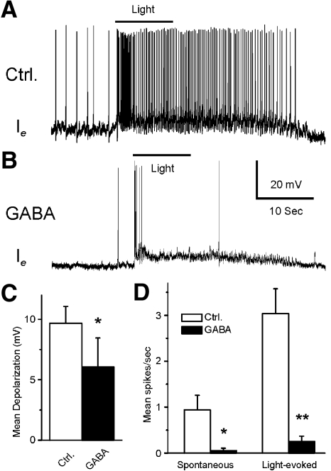 Fig. 8.