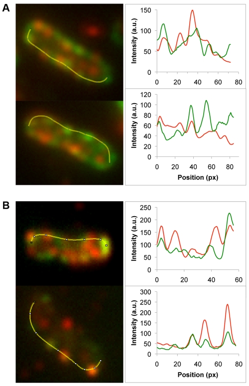 FIG 4 