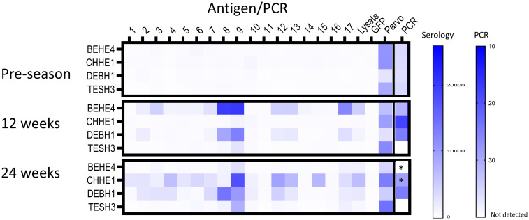 Fig 4