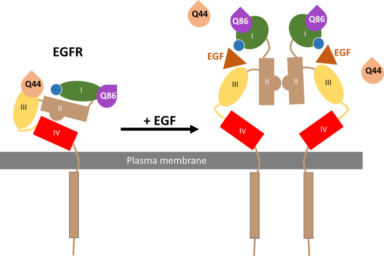 Figure 9