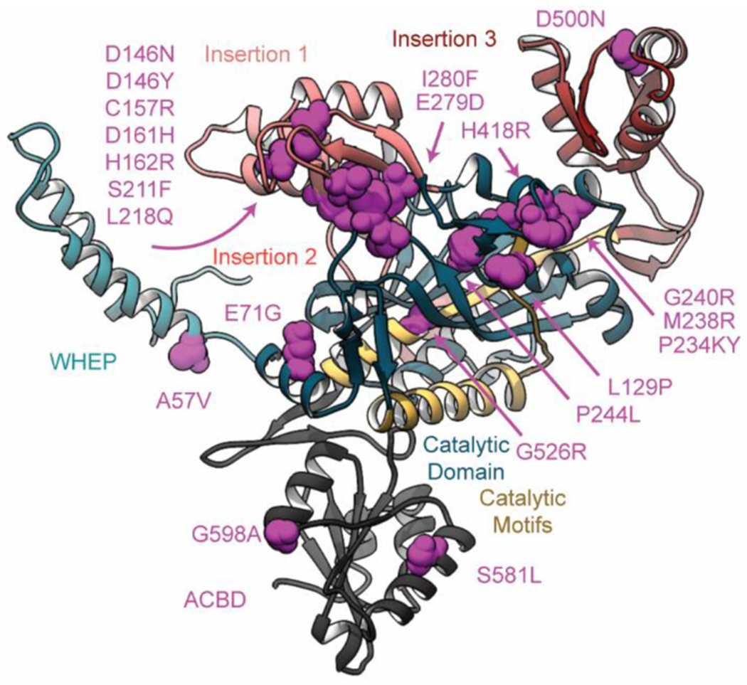 Figure 7.