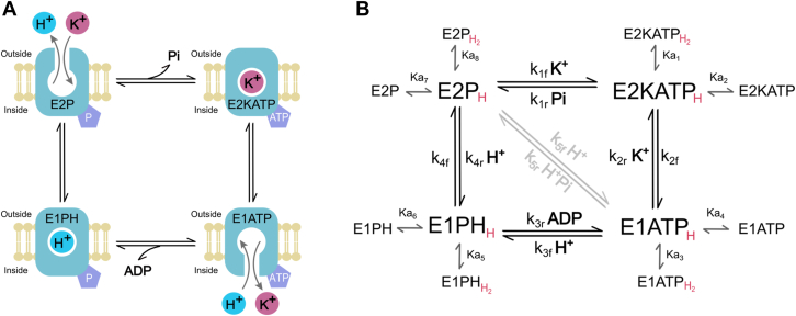 Figure 3