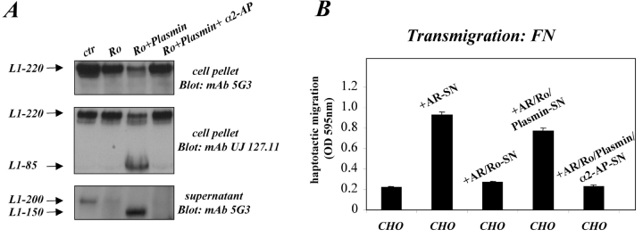 Figure 10.