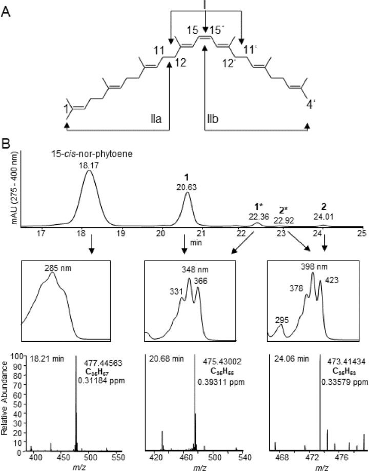 Fig 9