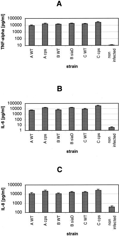 FIG. 5.