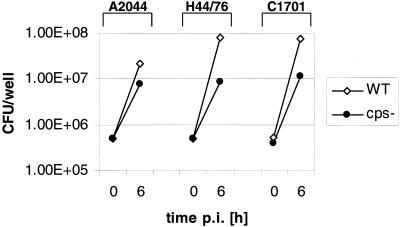 FIG. 2.