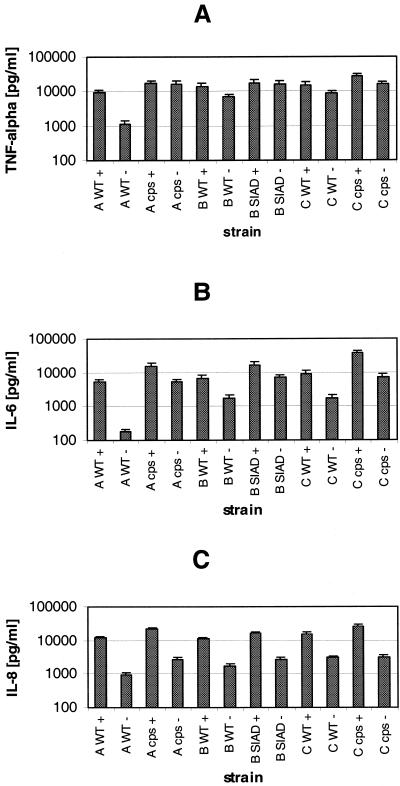 FIG. 6.