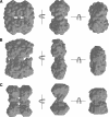 FIGURE 3.
