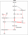 FIGURE 10.