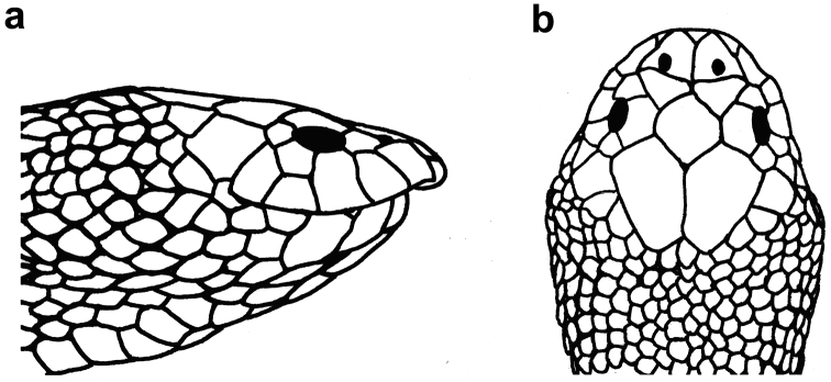 Figure 8.