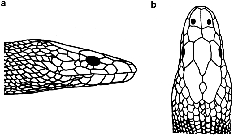 Figure 12.