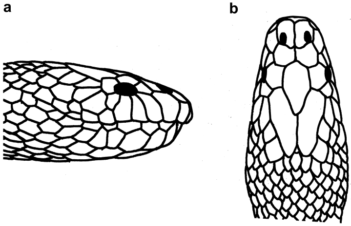 Figure 18.